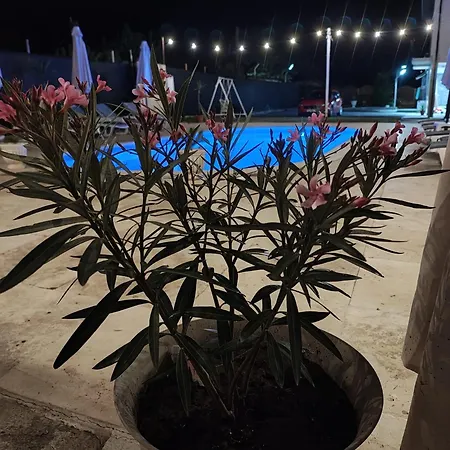 Pensión Casa Simone 3*